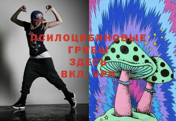 кокс Каменка