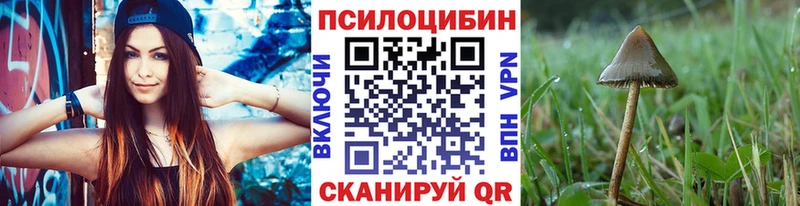 Псилоцибиновые грибы прущие грибы  Купить  Плёс 