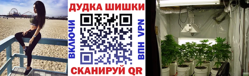 Бошки марихуана индика  Купить закладки  Плёс 